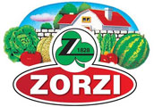 Zorzi